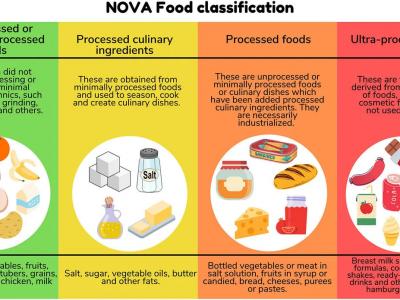 The Hidden Dangers of Ultra Processed Foods