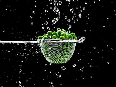 Pea Protein shows promise for muscle growth in older adults